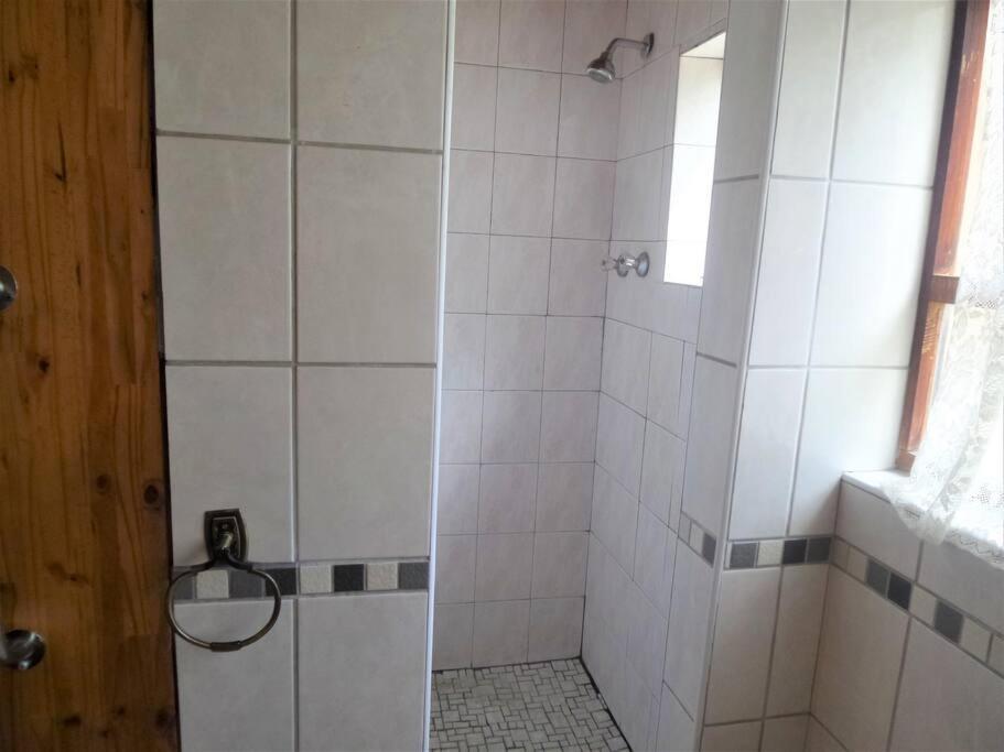 Apartment Serendipity Self Catering One Bedroom Despatch